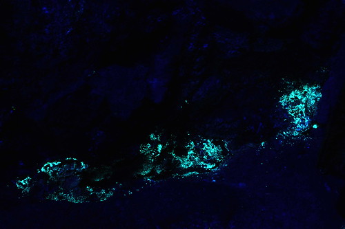 fluorescence_of_andersonite