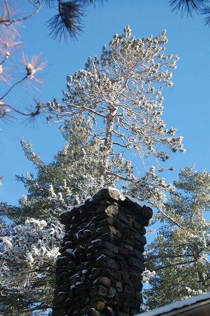 Adirondack chimney