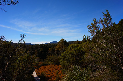 Cradle Mountain from King Billy Track