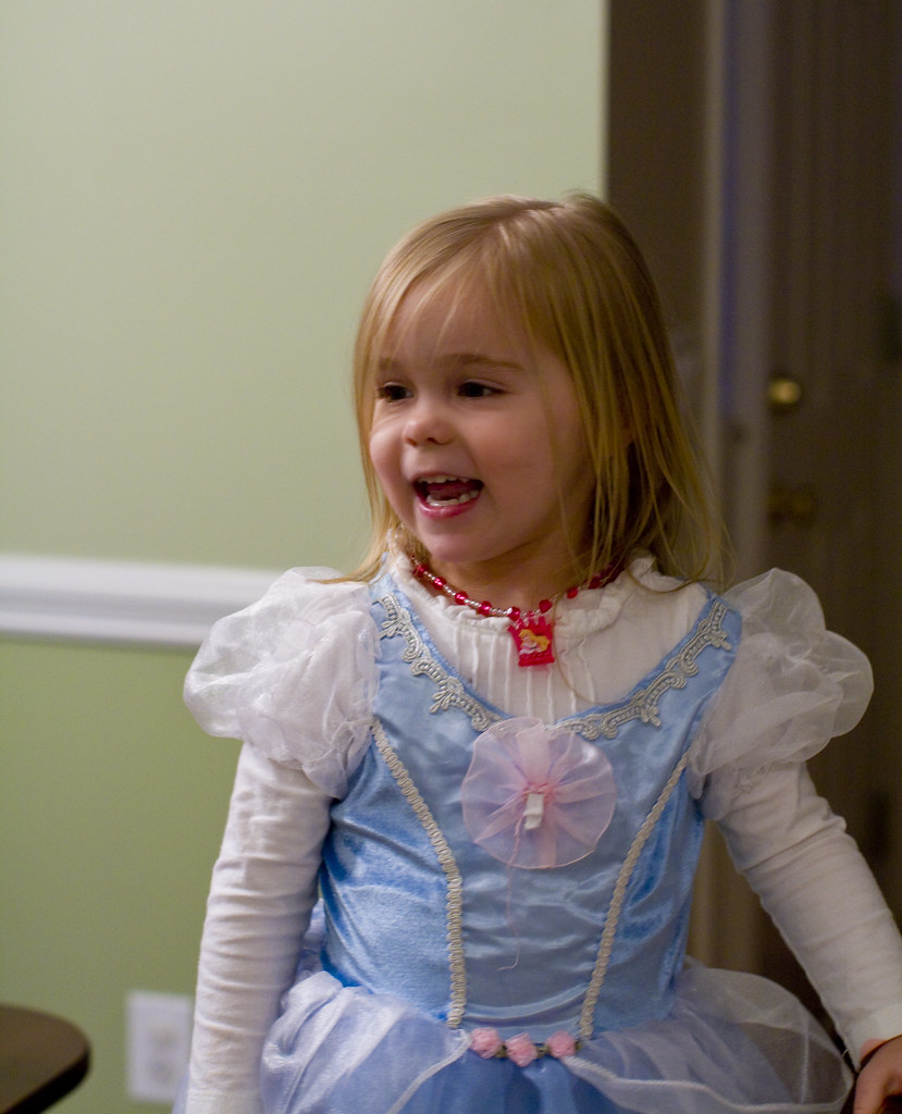 Little girl princess birthday party photographer