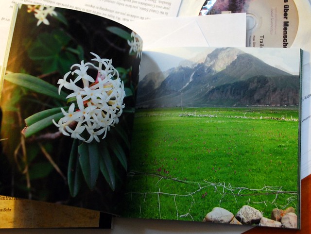 Flora im Kaukasus Buch