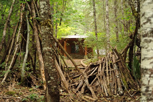 Buddha's Playhouse, and wood campout teepee, forest, Breitenbush Hot Springs, Breitenbush, Marion County, USA by Wonderlane