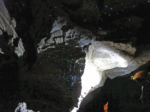 Glowworms in Ruakui Cave
