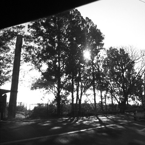 7/29: sun (peeking through the trees) #febphotoaday