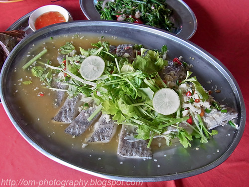 yee wen thai food, kepong baru, lime and garlic steamed siakap sea bass R0016058 copy