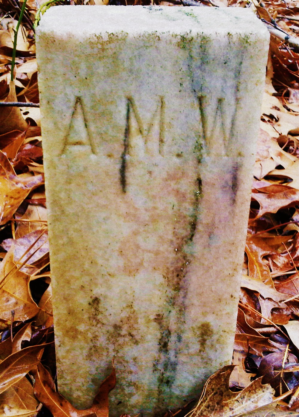 Ann McQueen-Mullins Cemetery, Meriwether County, Ga