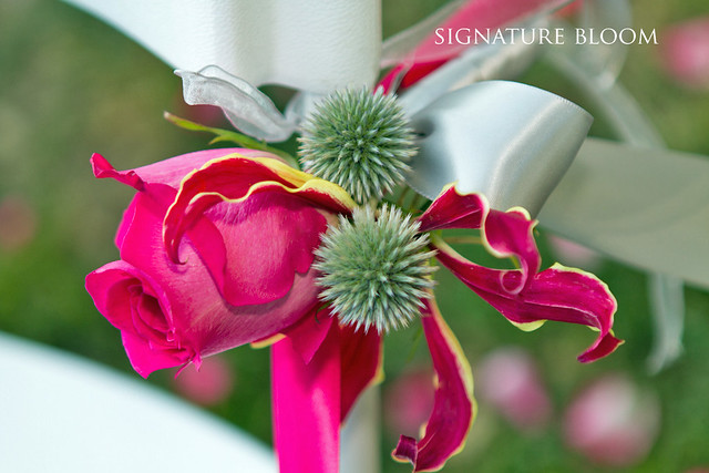 Hot pink Rose hot pink Gloriosa Lily and grey Echinops