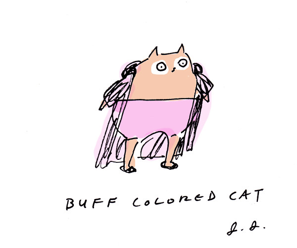 buff colored cat