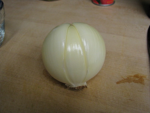 lobed onion