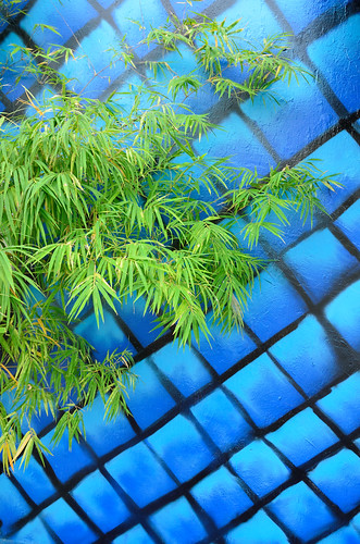 Bamboo and mural grid