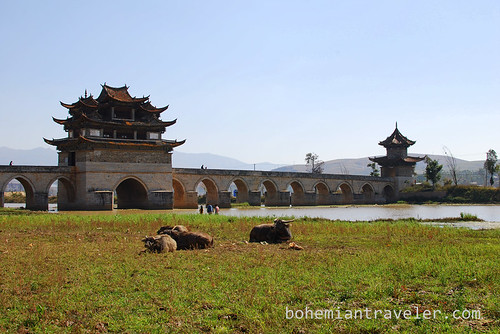 water buffalo and Dragon Bridge Jianshui Yunnan
