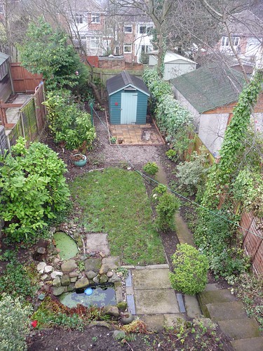 Our garden, January 2012