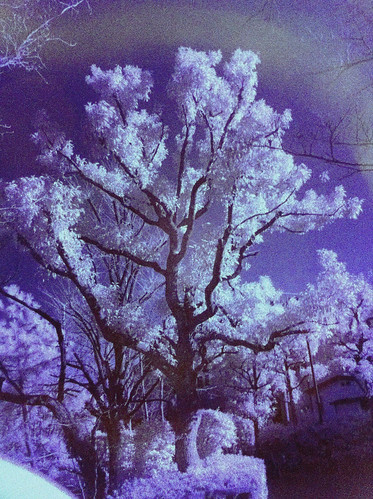 iPhone infrared #7