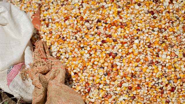 Maize, Market, Mekane Eyesus, Ethiopia, 2011