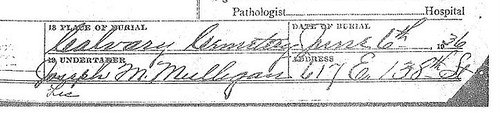 Undertaker crop from GGM Annie Tierney's Death Certificate