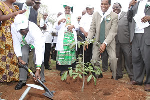 Republic of Zimbabwe President Robert Mugabe planting a tree inside the country. The ruling ZANU-PF party is holding a National People's Conference in Bulawayo during December 2011. by Pan-African News Wire File Photos