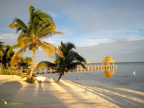 white sanded beach ambergris caye in belize
