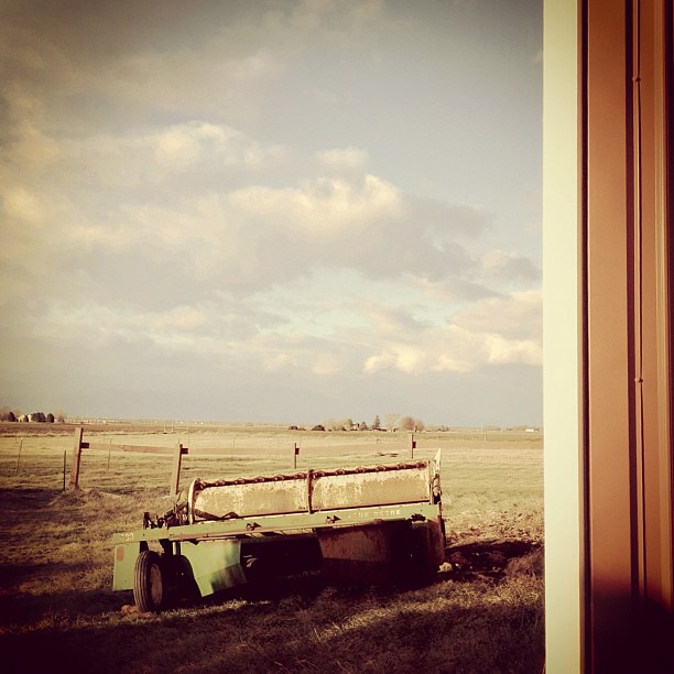 Longing Look #prairie #farm
