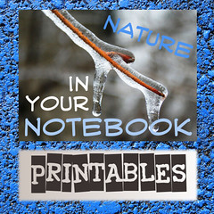 Nature in Your Notebook Link-Up