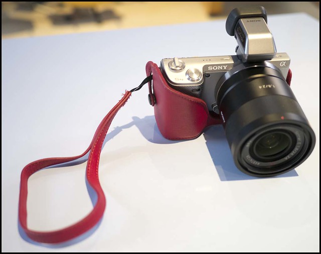 Sony NEX-5n Zeiss 24mm f/1.8