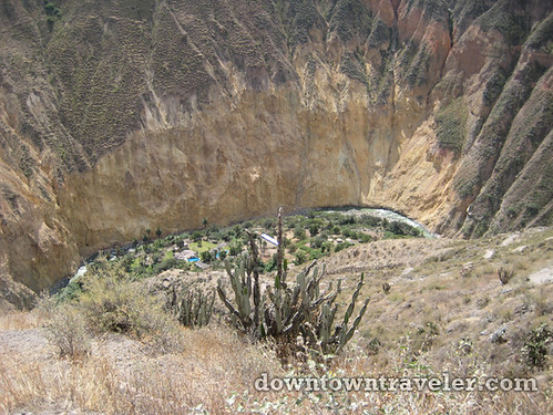 hiking colca canyon peru 12