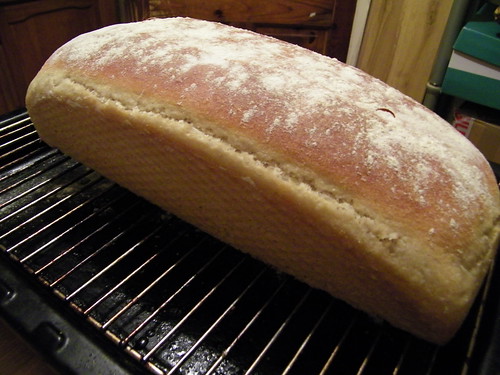 Sourdough Bread Loaf - Sauerteig Brot by abracacamera