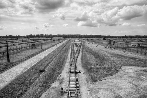 The Tracks into Birkenau