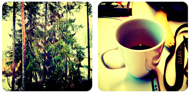 Tree and coffee