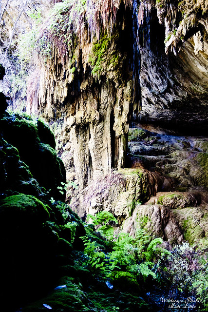 westcave_cave