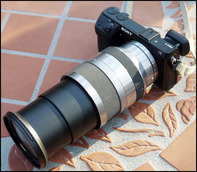 Sony NEX-7 18-200mm zoom lens