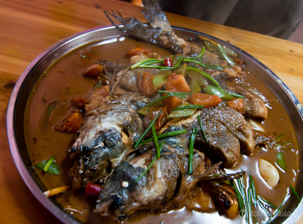 Beerfish Yangshuo Guangxi China