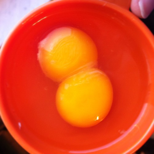 Double yolk