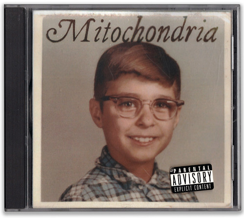 Mitochondria by Killer Times