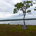 brasilia lago norte lixocultural 29dez11 078