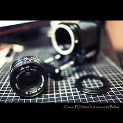 Canon FD 50mm f1.8 inverse to Bellow 