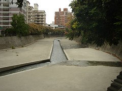 台中市完全水泥化的河川(特生中心林德恩提供)