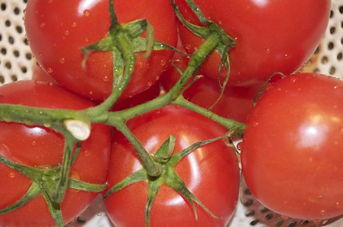 tomatoes in colander