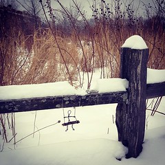 Having a swing with the snow