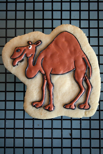 Camel cookie.