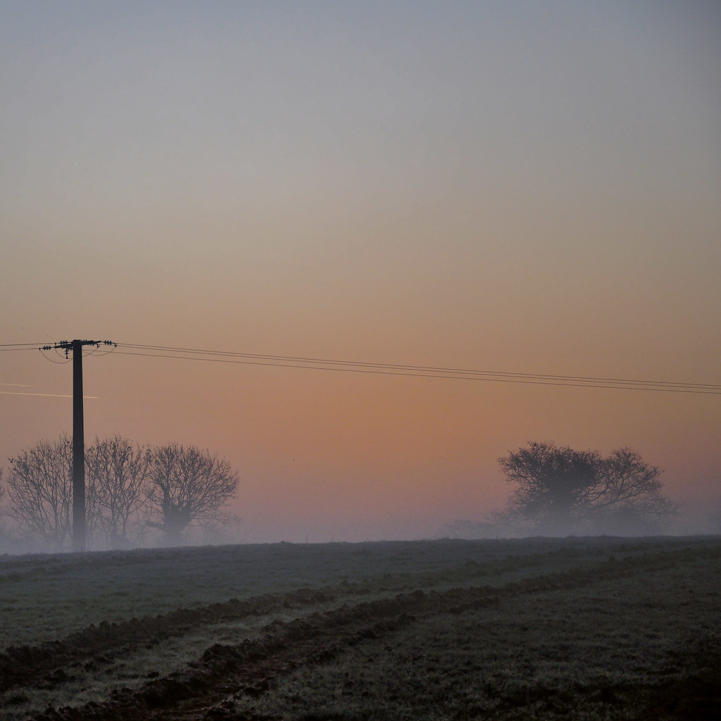 Petit matin brumeux dans la campagne Normande (2242)