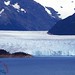 Glaciar Perito Moreno, Calafate, Patagonia Argentina 001