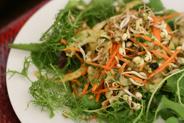 Mung Beans Sprout Salad with Carrots and Fennel