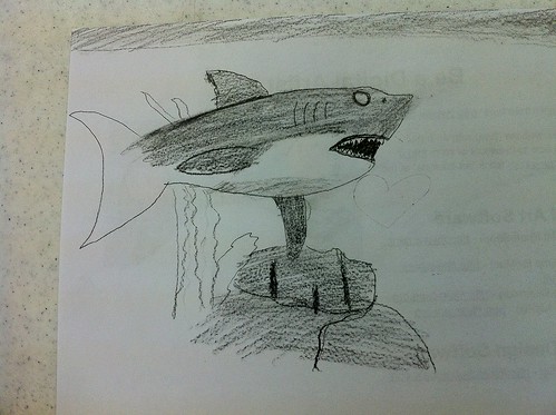 A student's Great White Shark