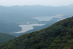 香港 紫羅蘭山 - 孖崗山