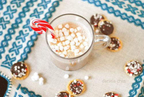 Hot chocolate, cookies, marshmallows, yum!