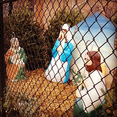 Caged nativity