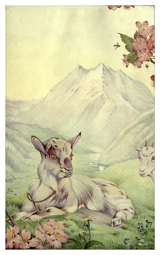049-Primavera-News of spring and other nature studies 1917- Ilustrado por Edward J. Detmold