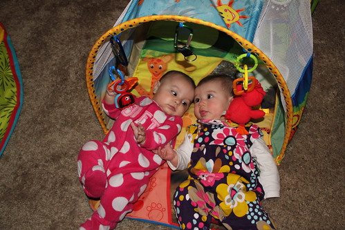 Jovie and Vivian hanging out in the tunnel 1