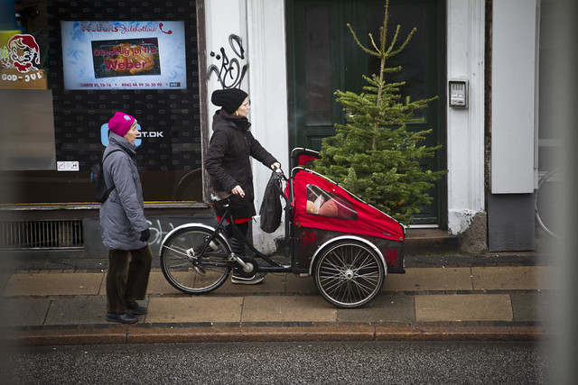 Christmas Tree Bike