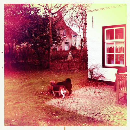 HIP_347552286.313738 by Beate Knappe
